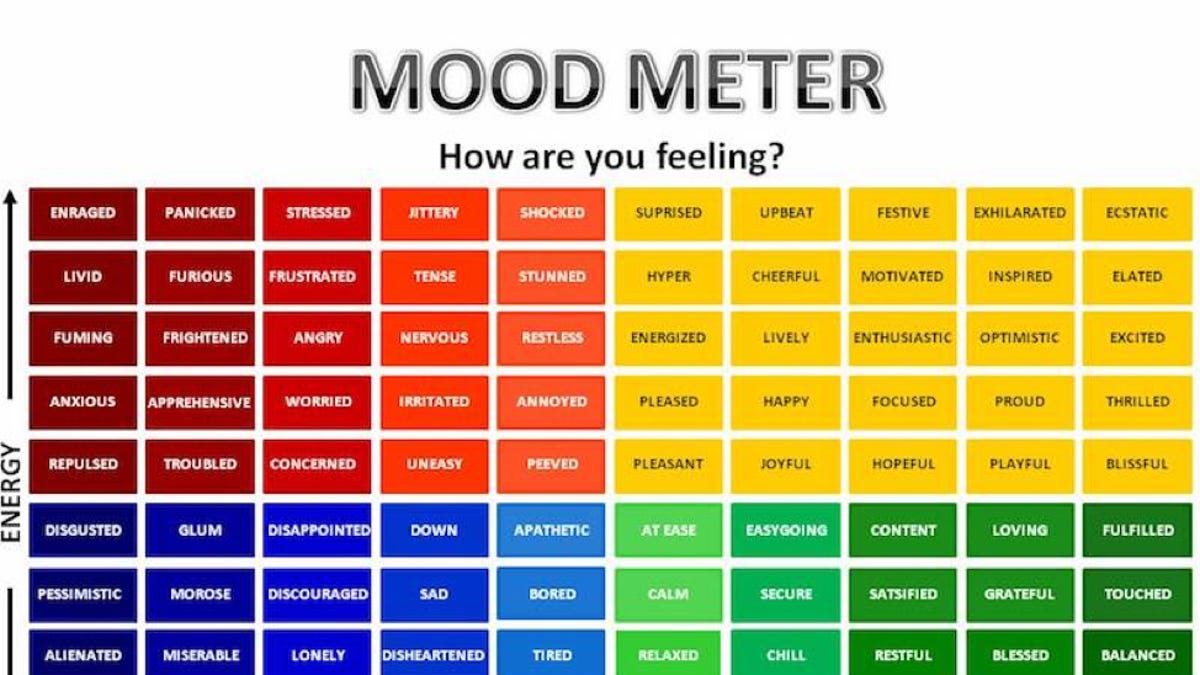 cc42e7d6-54f2-490d-9673-cfd53982a618-moodmeter.jpg